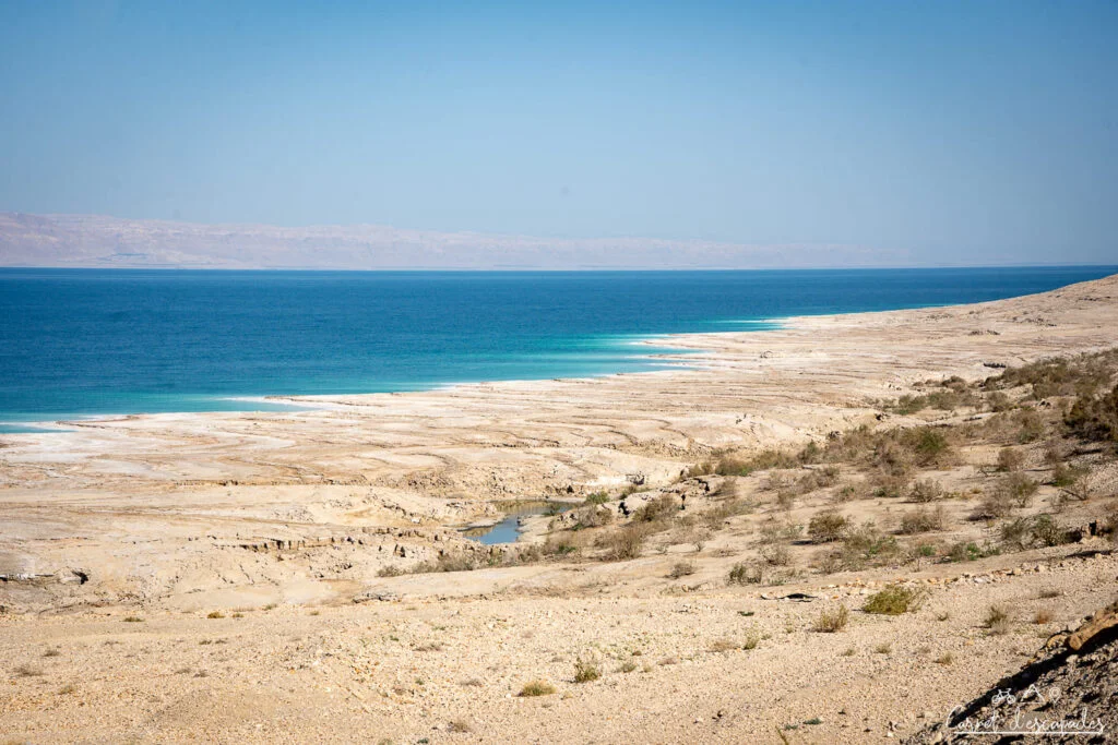 rivages mer morte jordanie