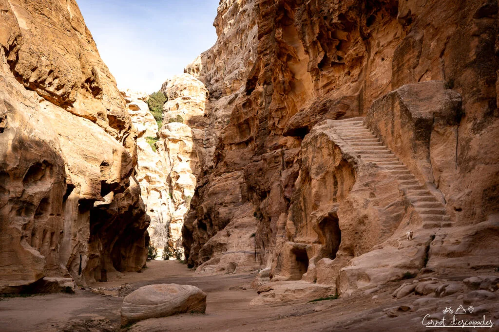 siq-al-barid
