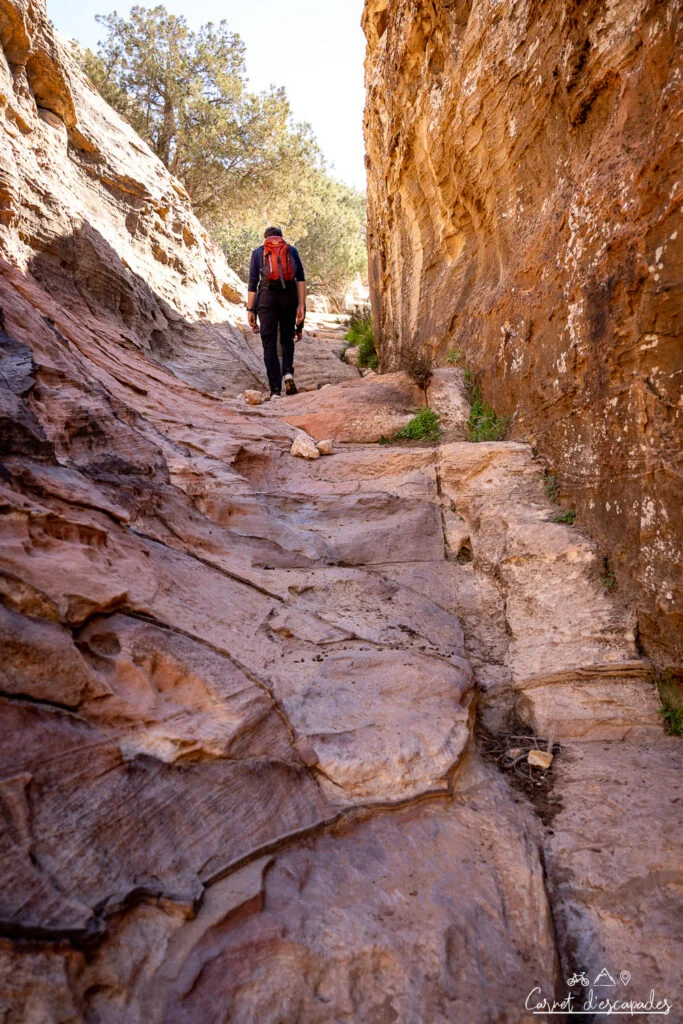 vallee-dana-jordanie-randonnee