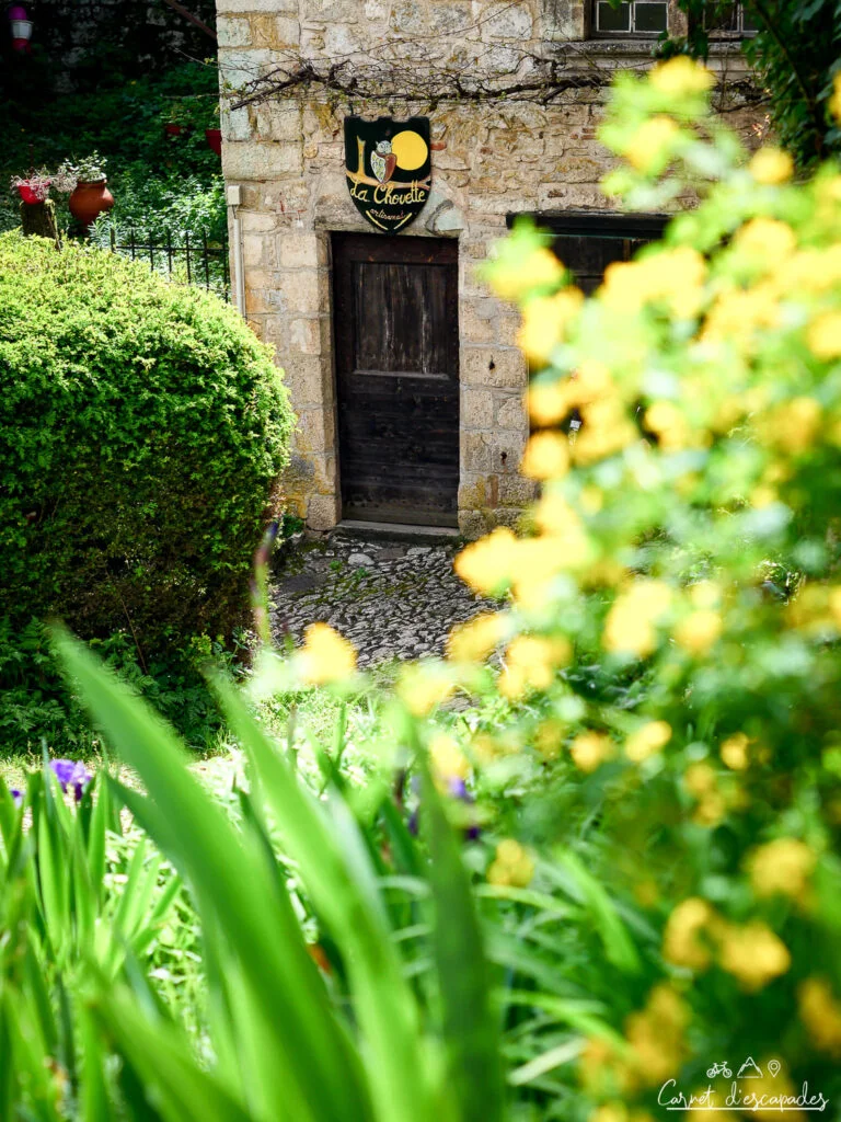 fleurs-saint-cirq-lapopie