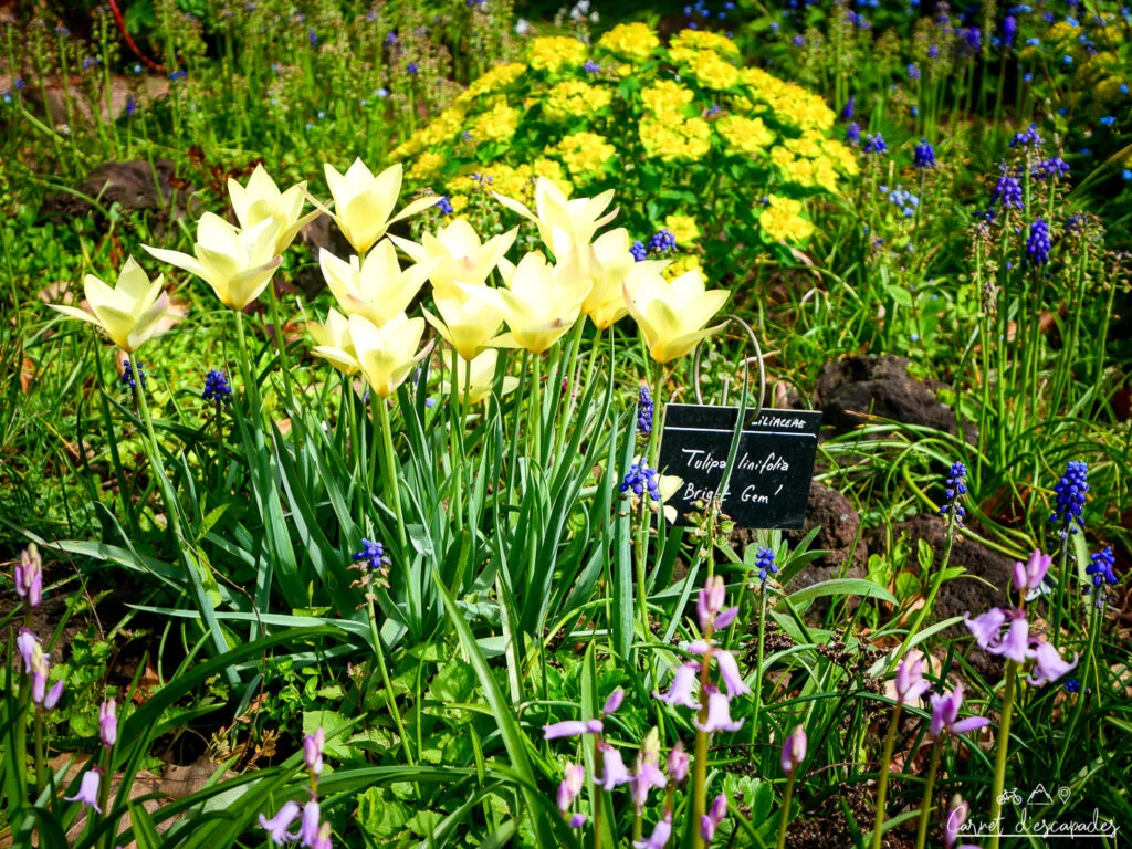 jardin-botanique-metz