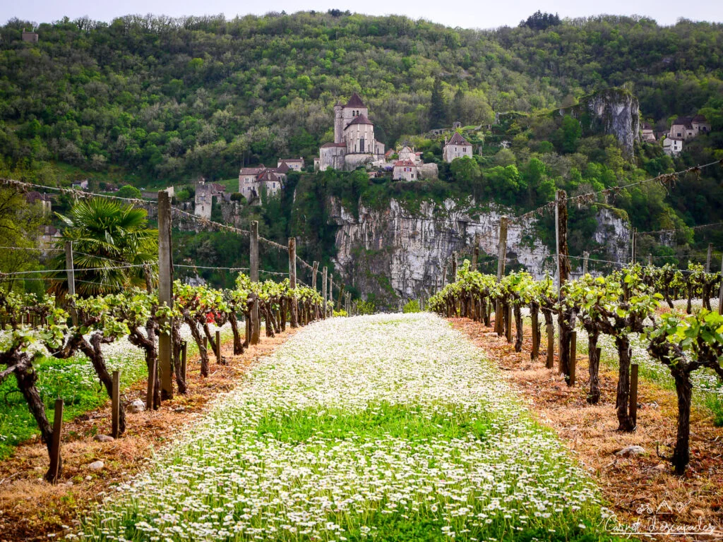 vue saint cirq lapopie