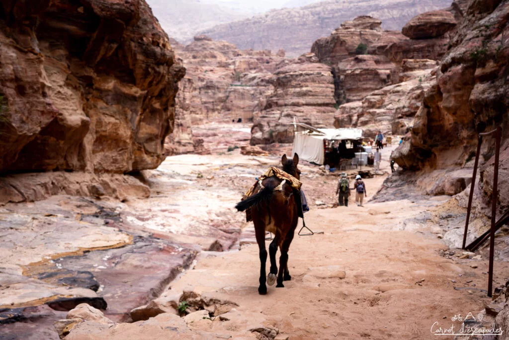ane chemin monastere ad deir