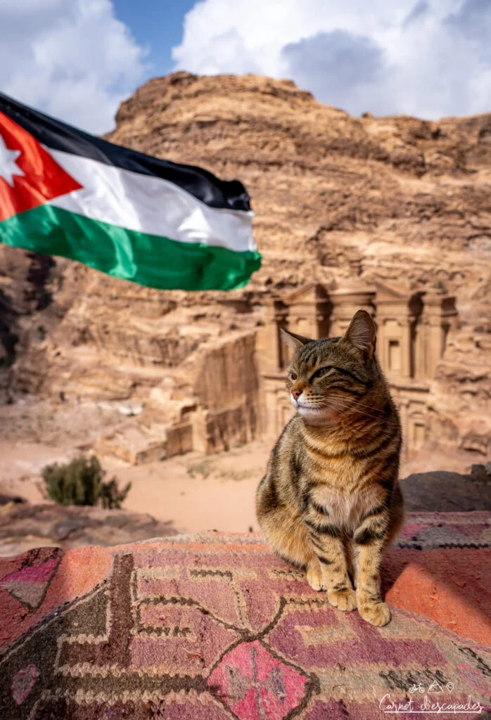 chat-petra