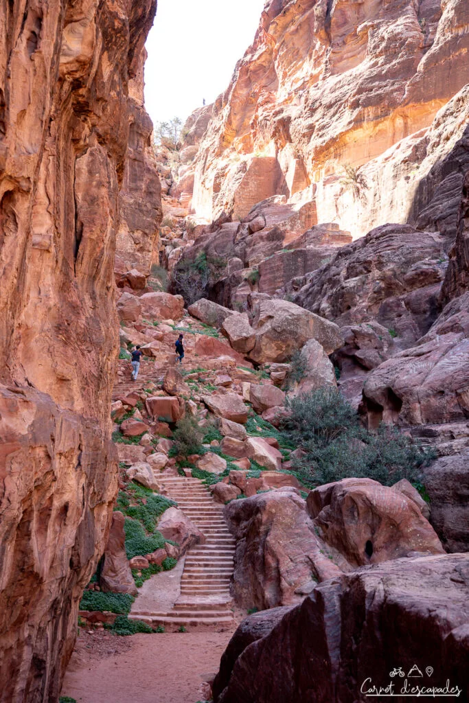 marches haut lieu sacrifice petra