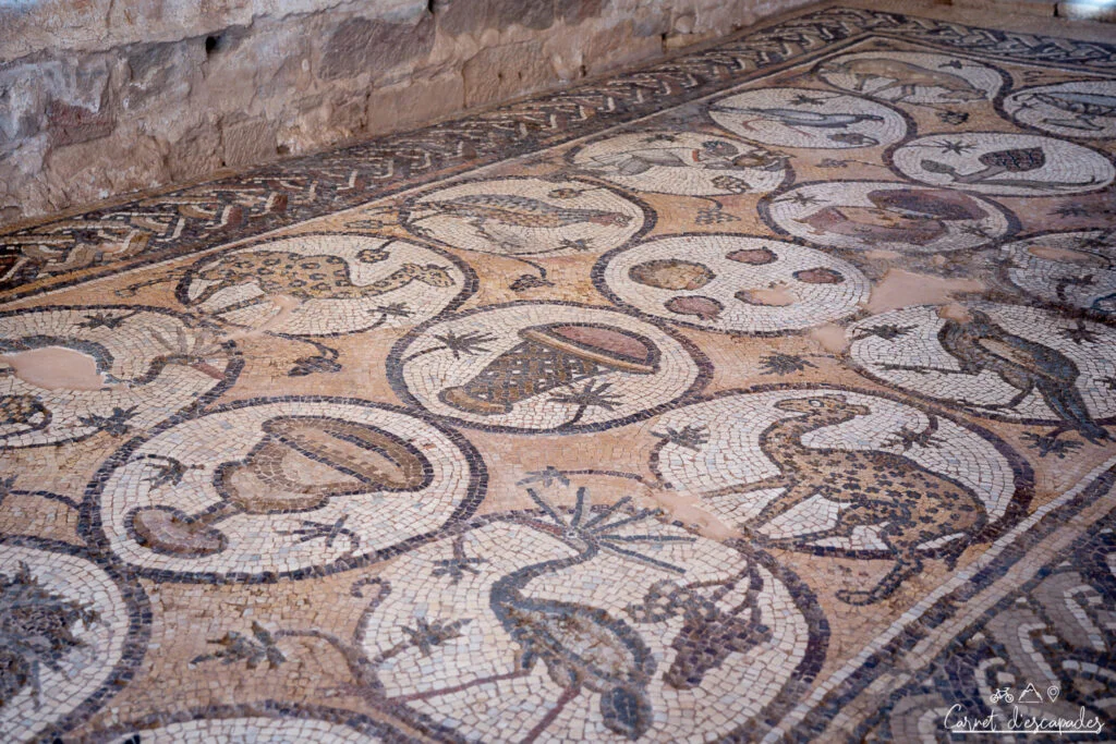 mosaique eglise byzantine petra