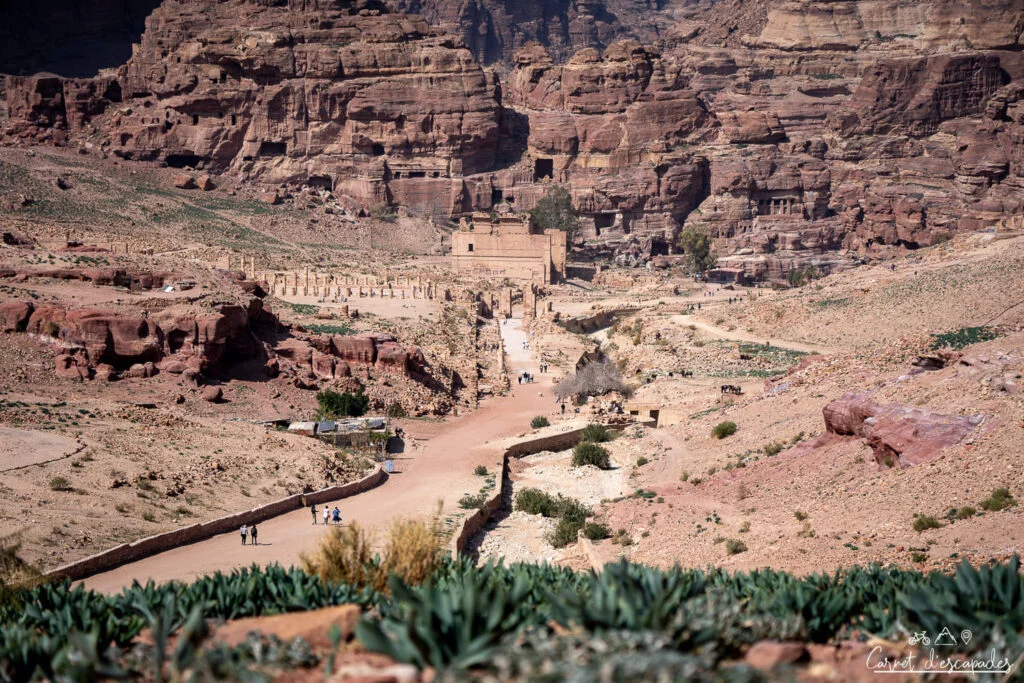 petra-vue-ville-antique