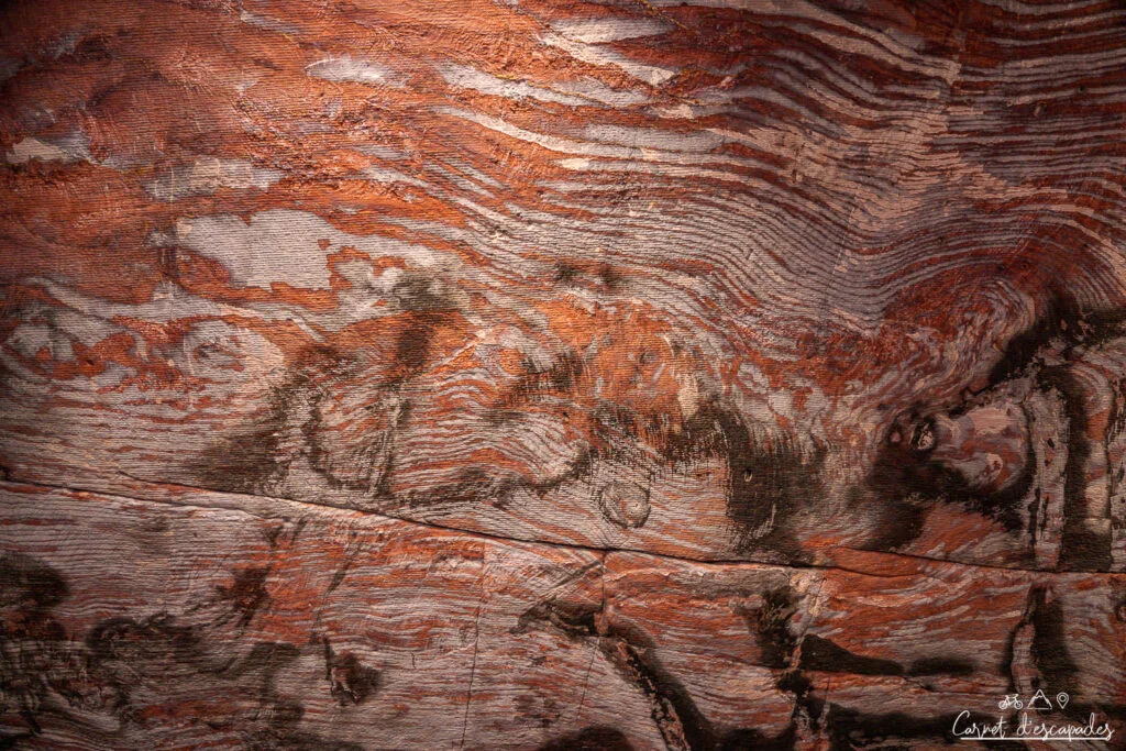 roche tombeau urne petra