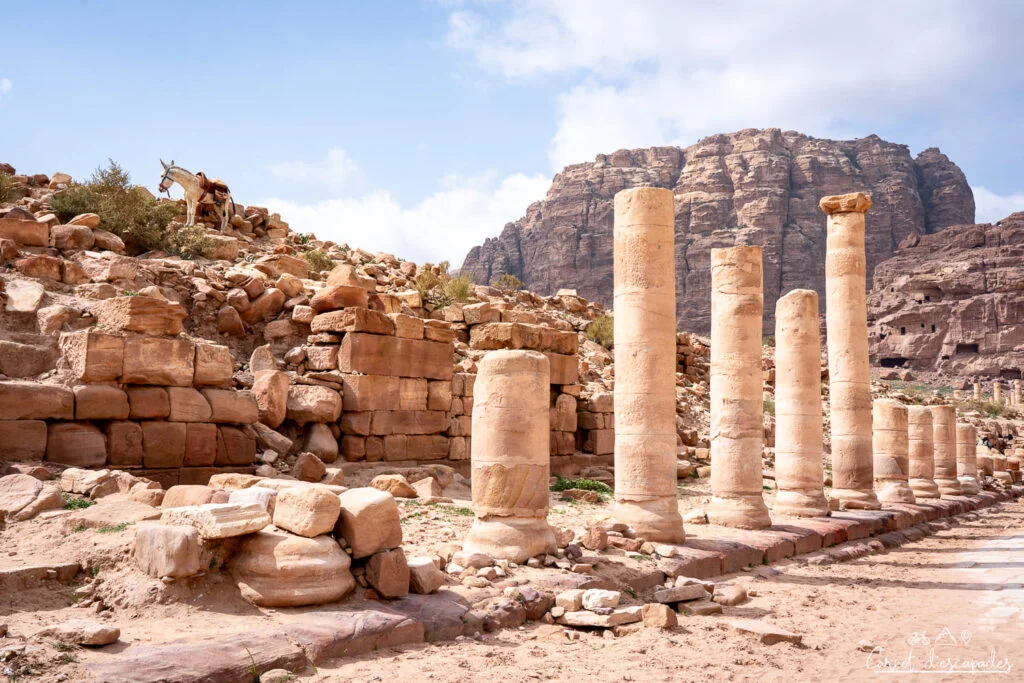 rue colonnades petra