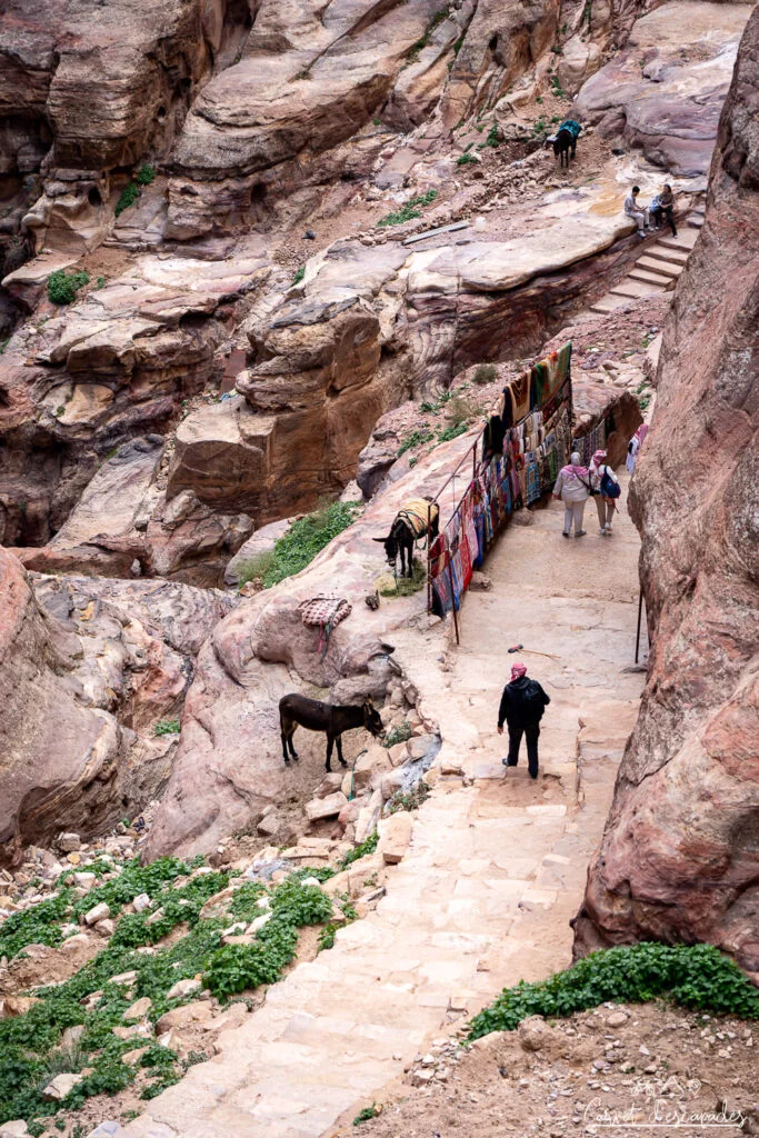 sentier monastere petra