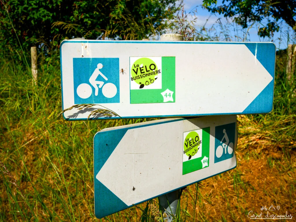 balisage-velobuissonniere