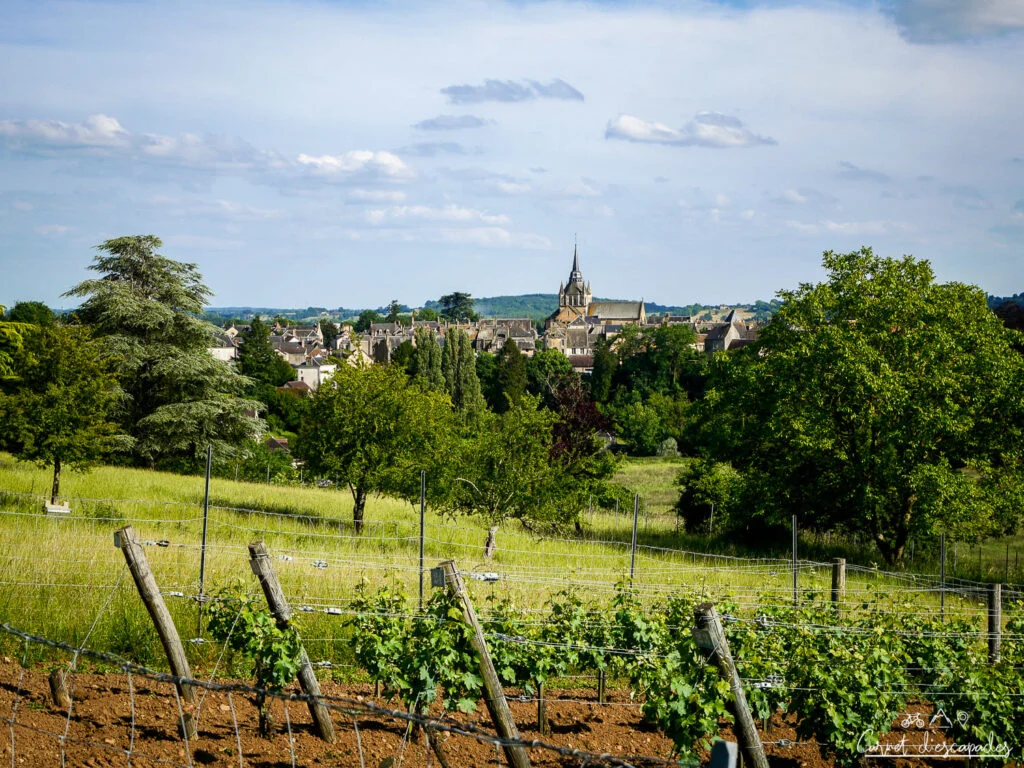 coteau-vignes-fresnay-sur-sarthe