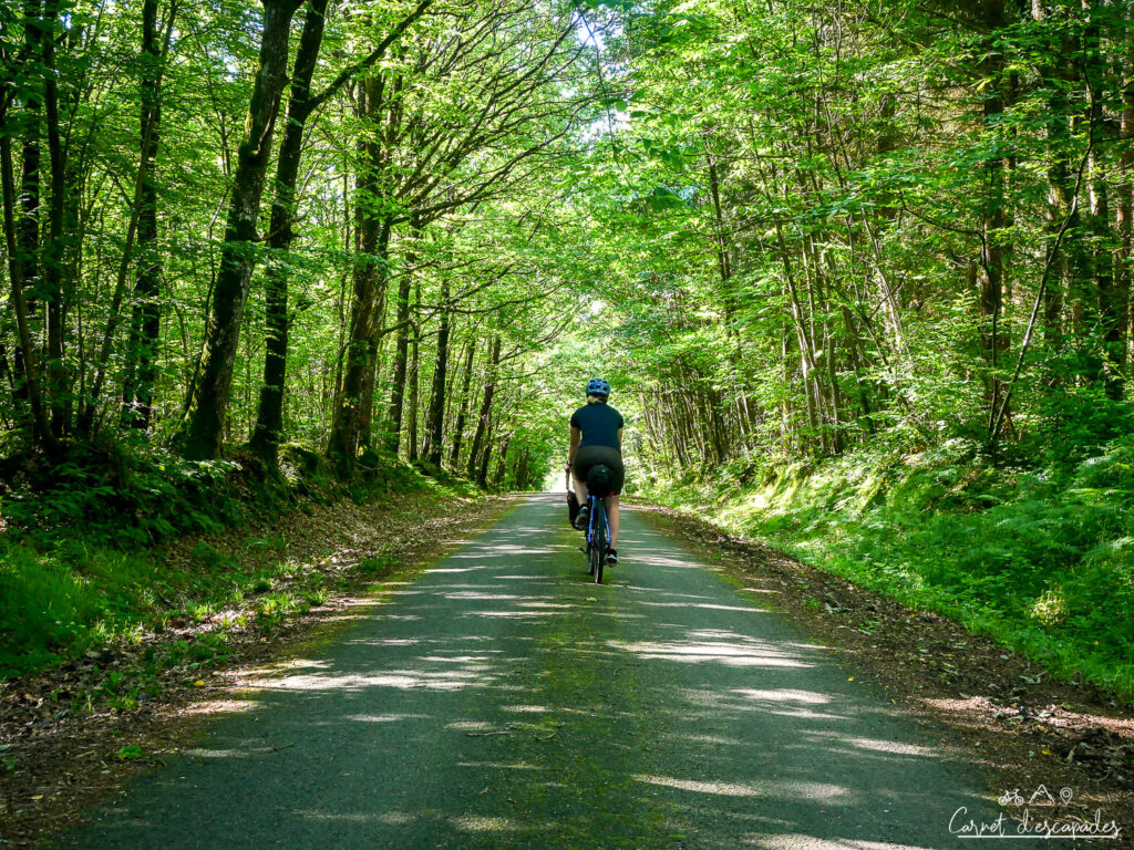 laurene-velobuissonniere
