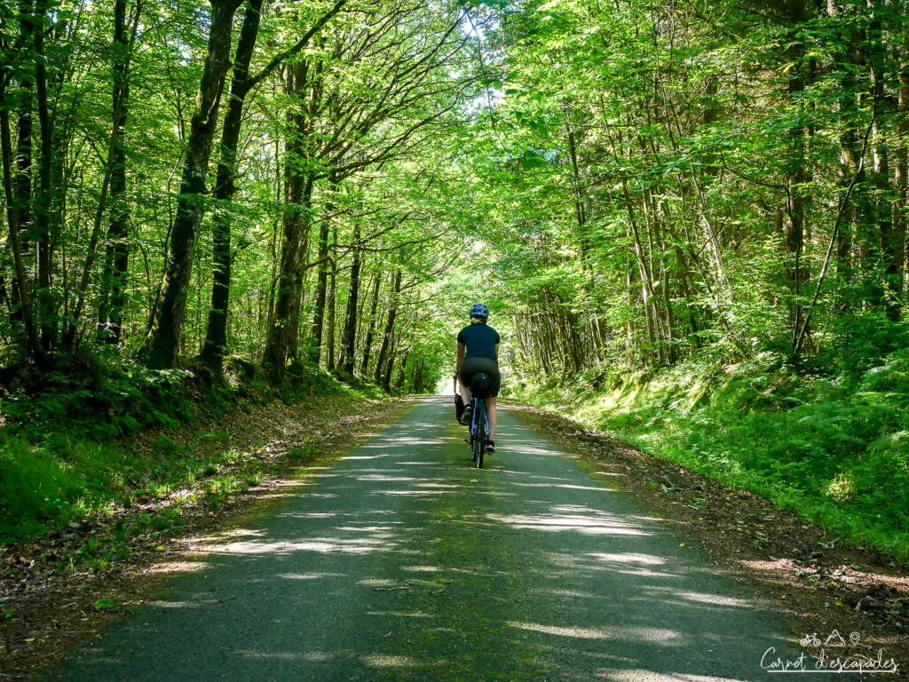 laurene-velobuissonniere
