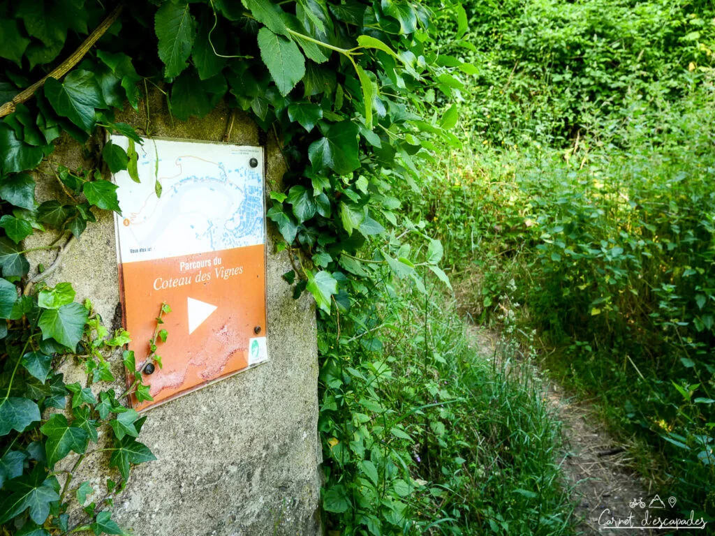 panneau-coteau-vignes-fresnay