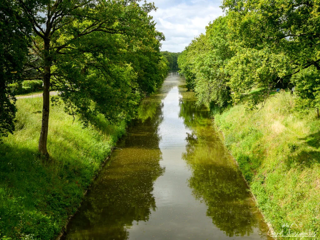 riviere