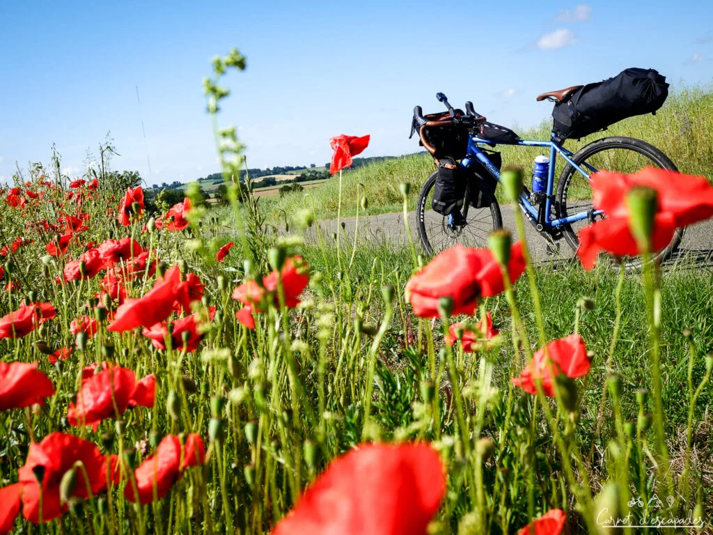 velo-coquelicots