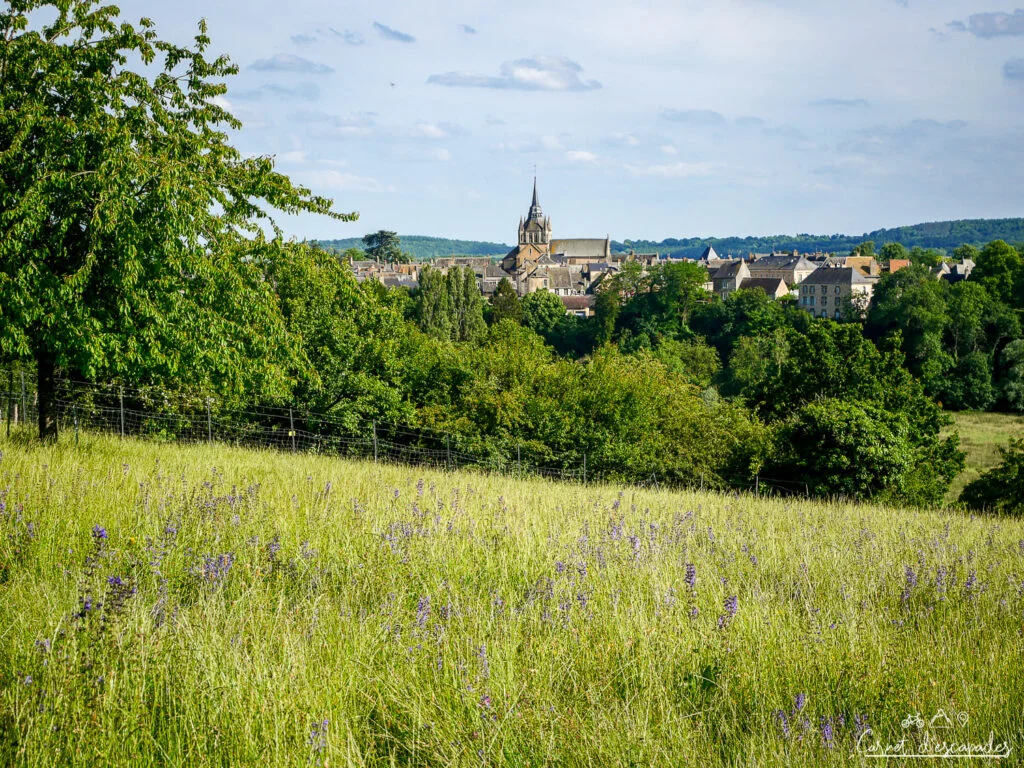 vue-fresnay-sur-sarthe