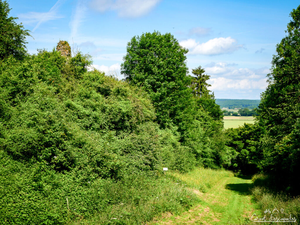 butte-feodale-saint-remy-val