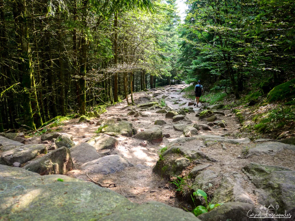 chemin-col-donon