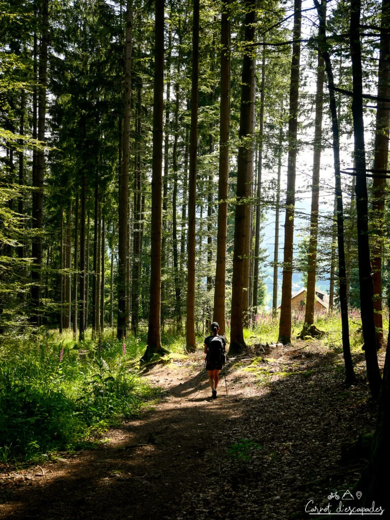 laura-foret-vosges
