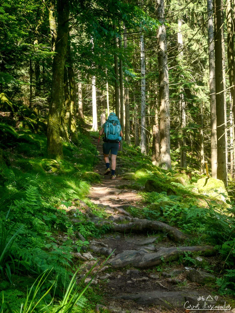 laurene-sentier-rando
