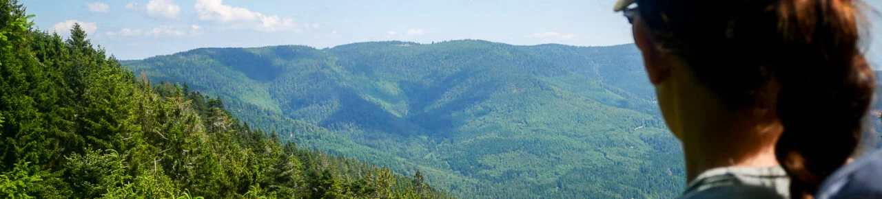 rando-alsace-massif-vosges