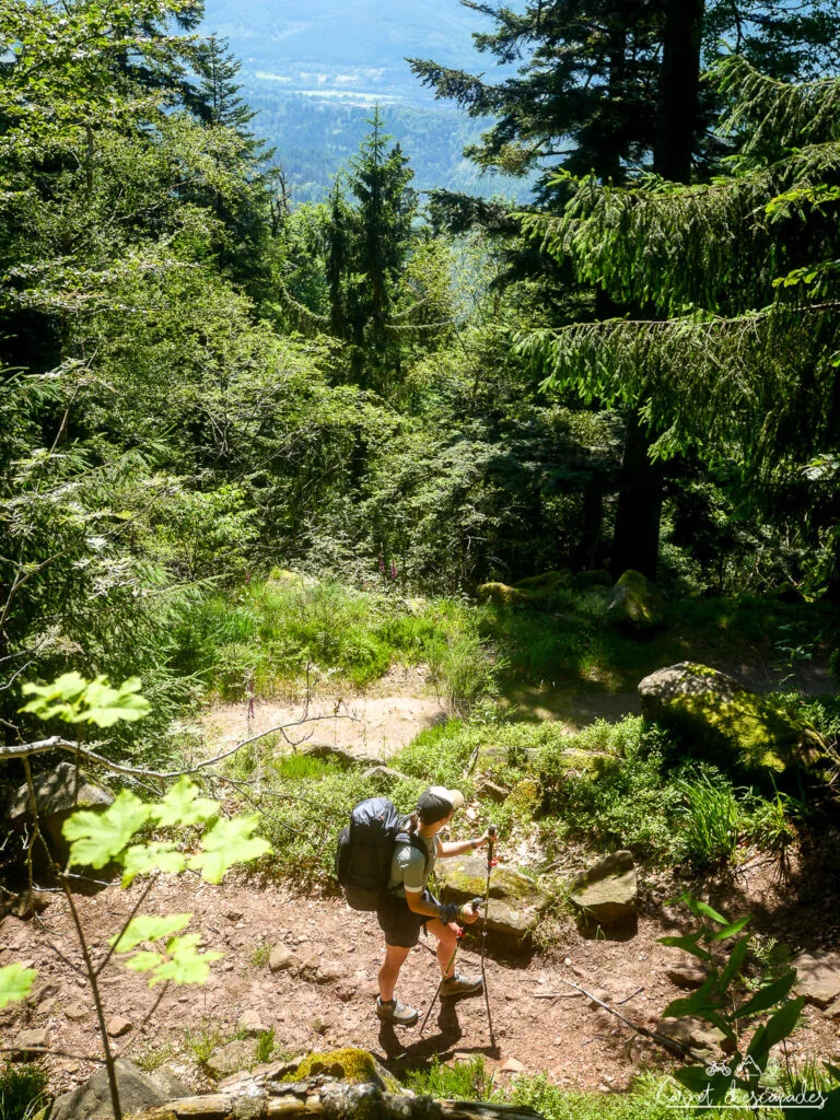rando-vosges