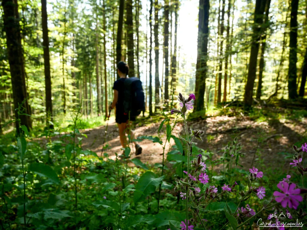 rando-vosges-digitale