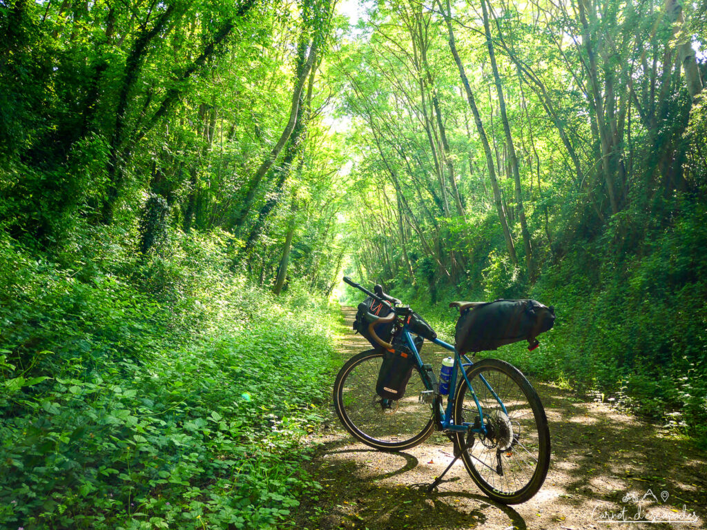 velo-gravel-petite-reine
