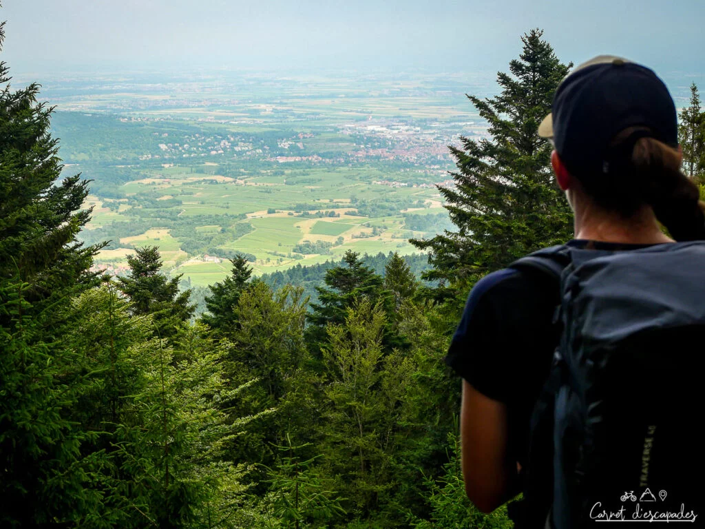 vue-plaine-alsace