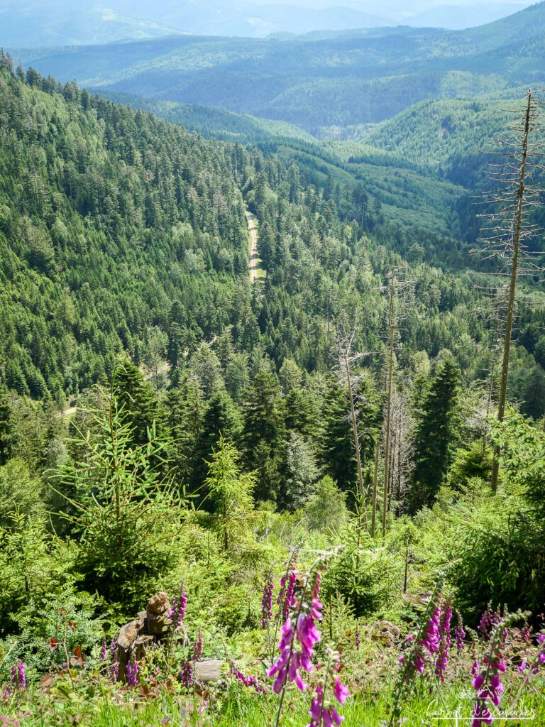 vue-vallee-bruche