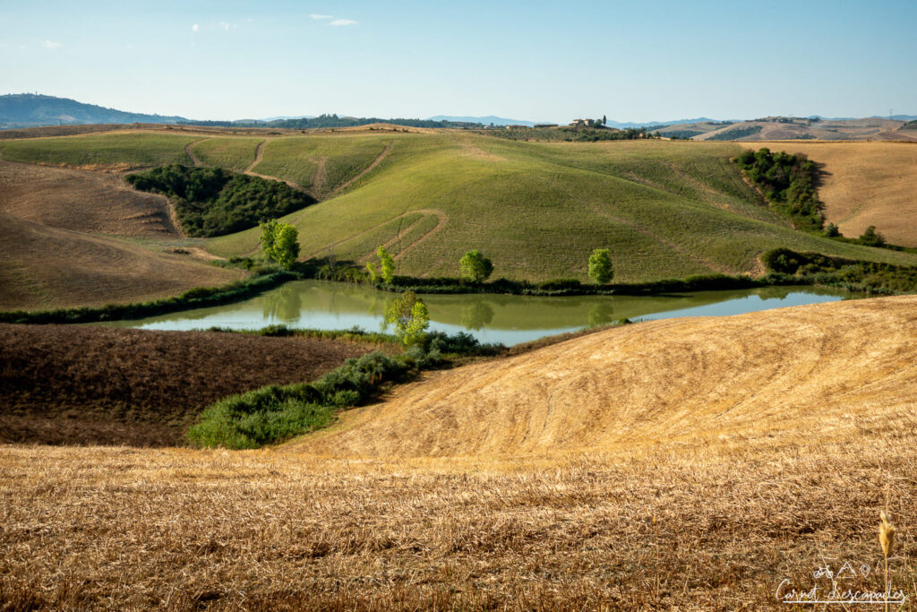 champs-ete-toscane