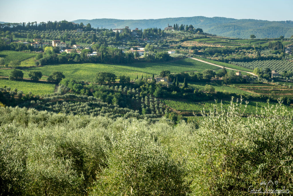 paysage-toscane