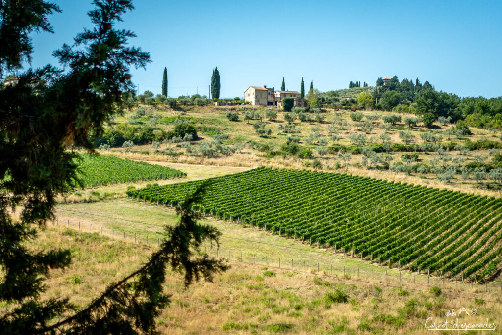 paysages-chianti-toscane