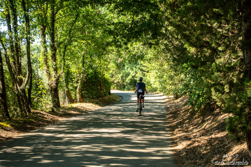 route-ombragee-velo-toscane