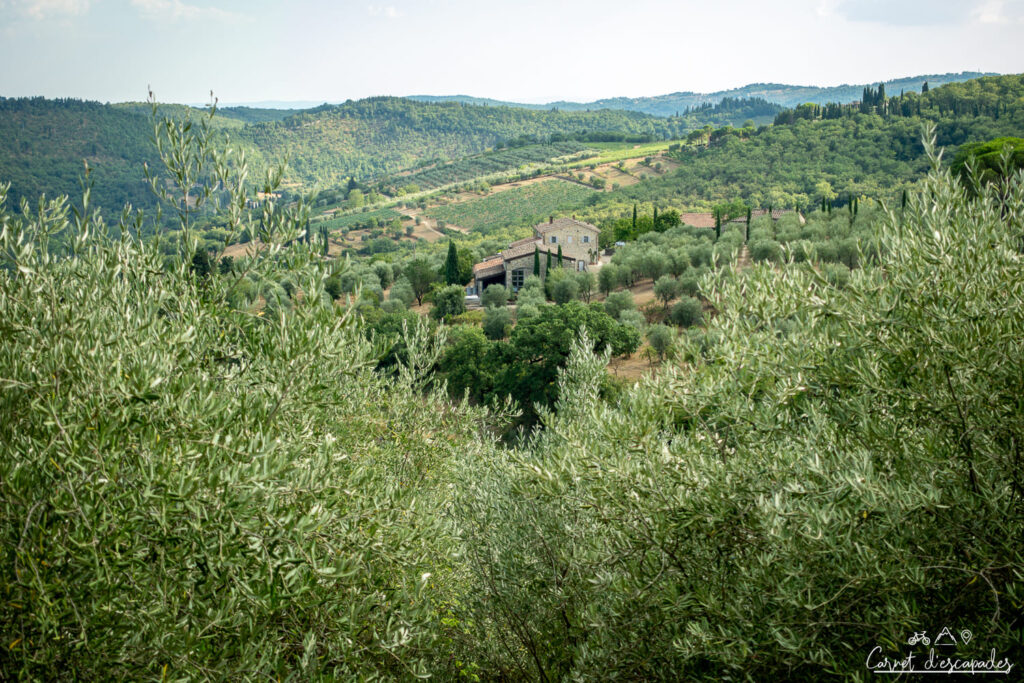 toscane-vue-radda-in-chianti