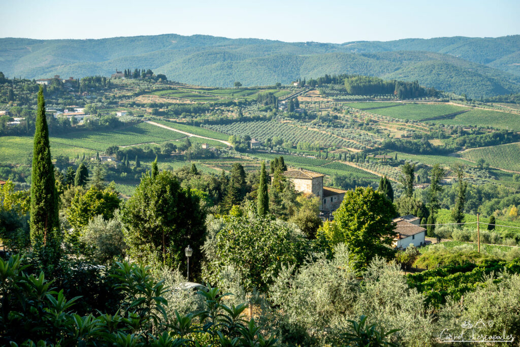 vue-panzano-in-chianti