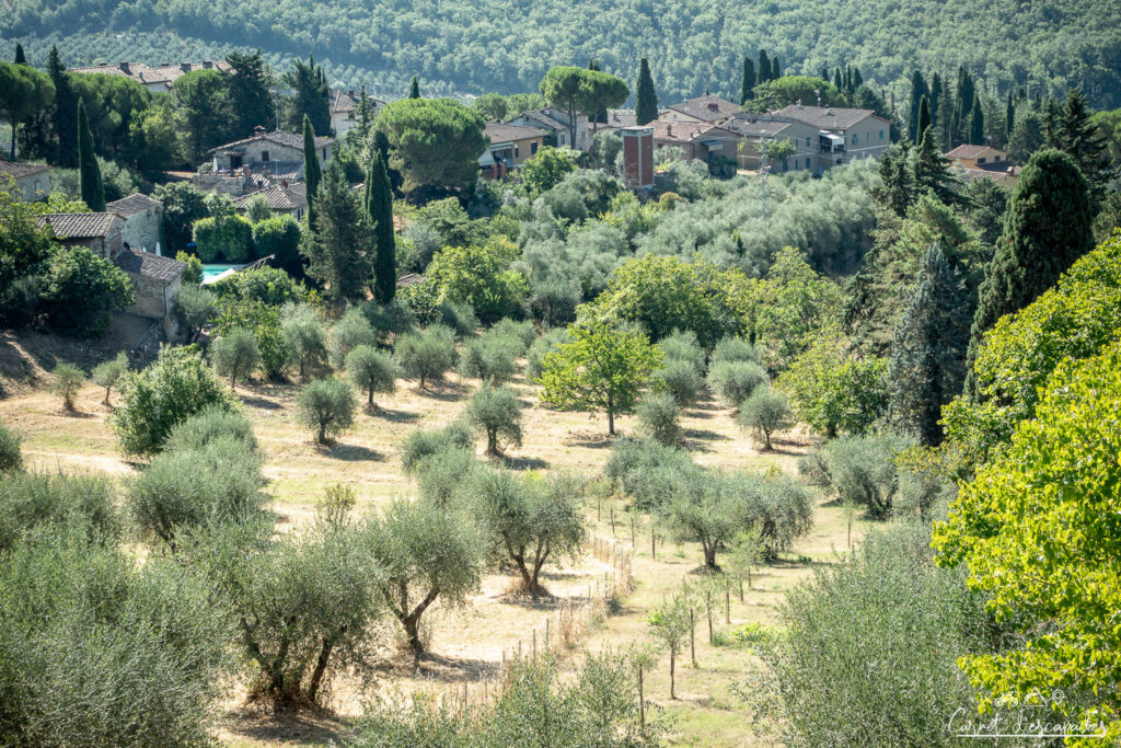 vue-radda-in-chianti