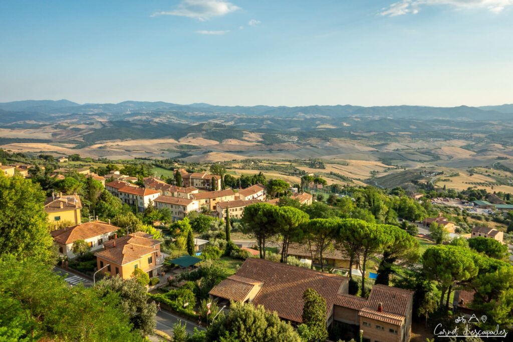 vue-volterra