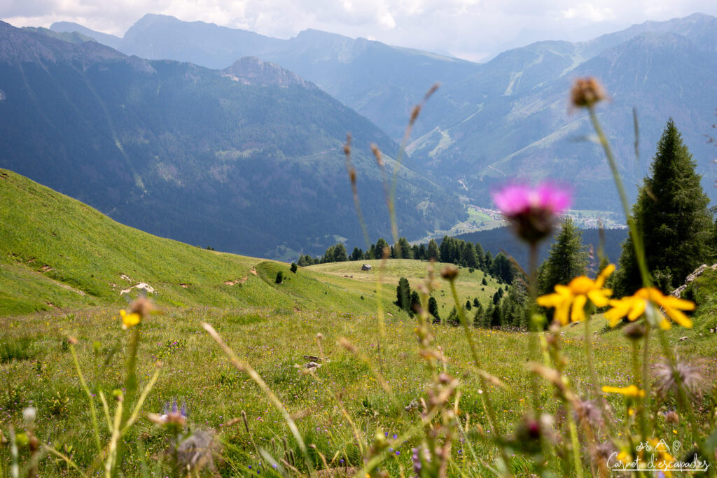 alpages-dolomites