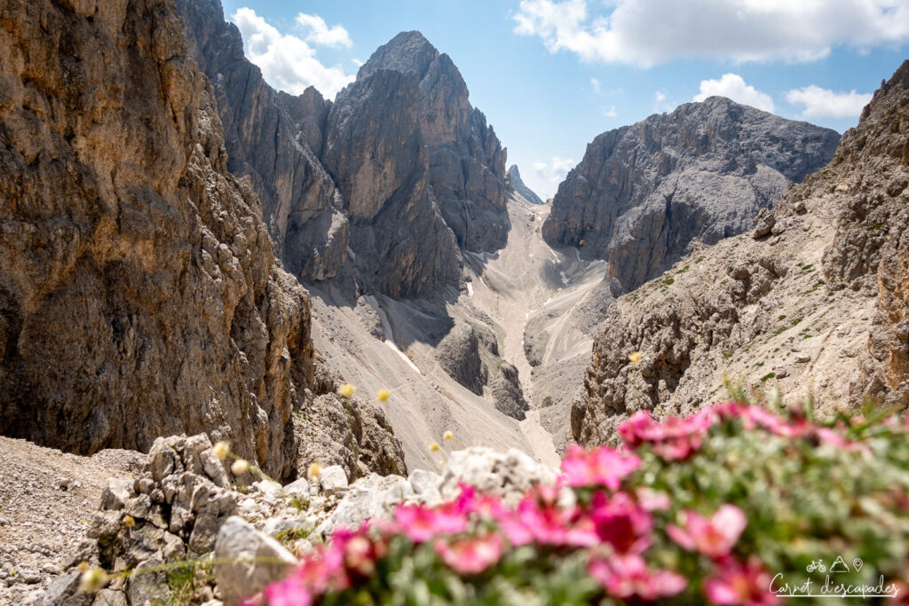 vue-passo-molignon