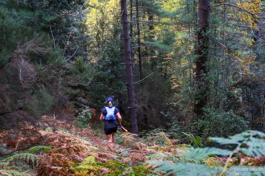 foret-bonifatu-corse