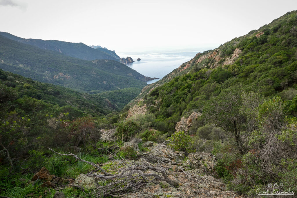 panorama-golfe-girolata
