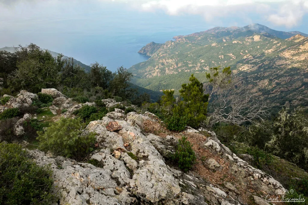sentiers-trail-balagne