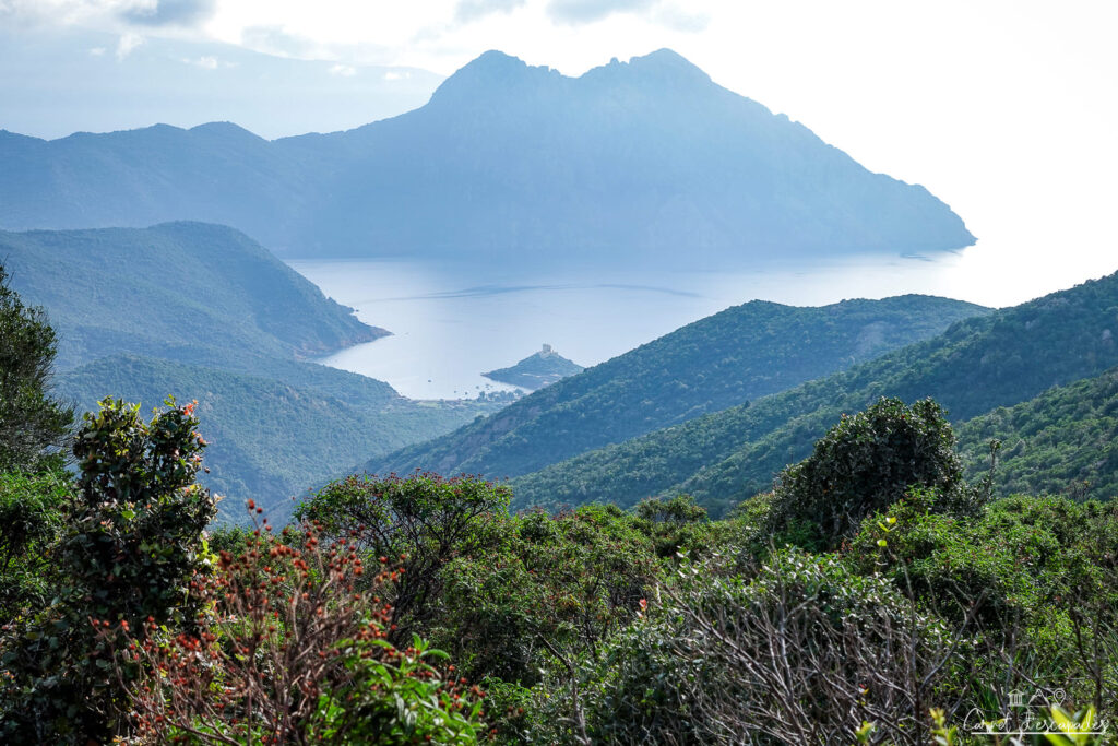 vue-golfe-girolata-corse