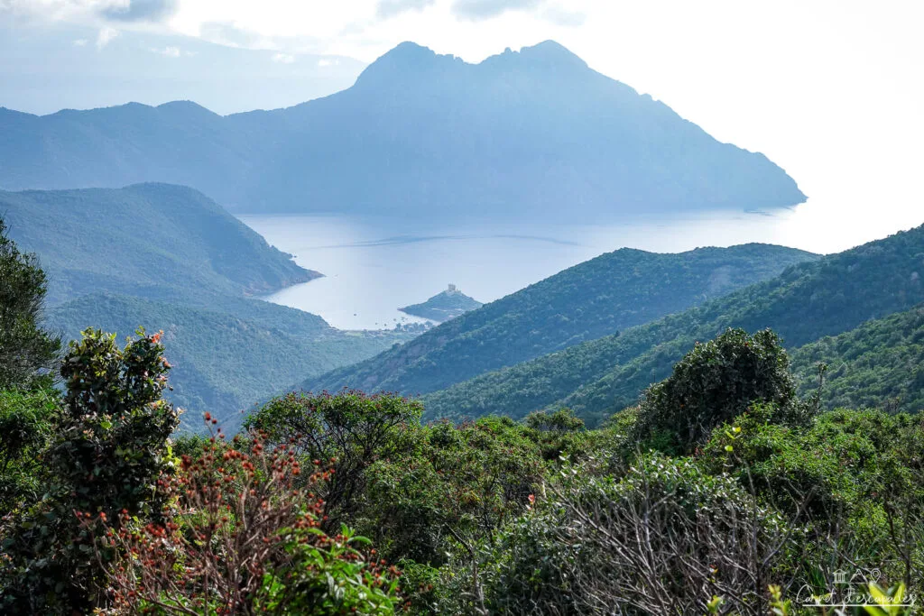 vue-golfe-girolata-corse