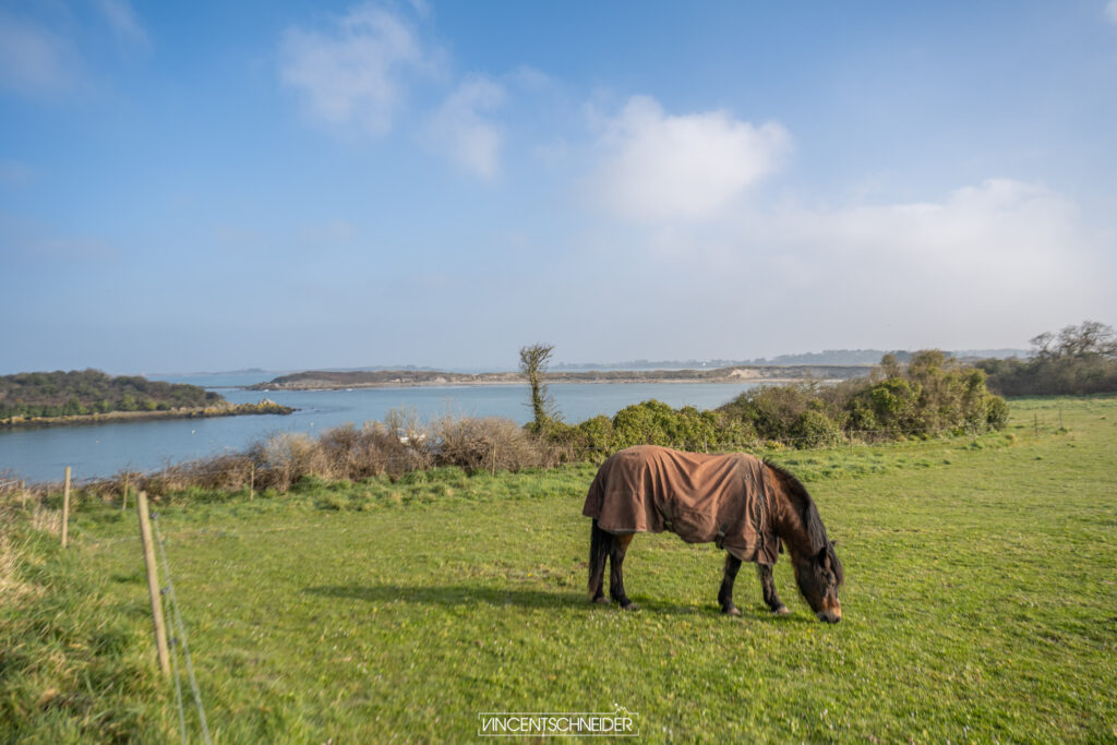 2025 hiver finistere nord gr34 randonnee ocean atlatique 636