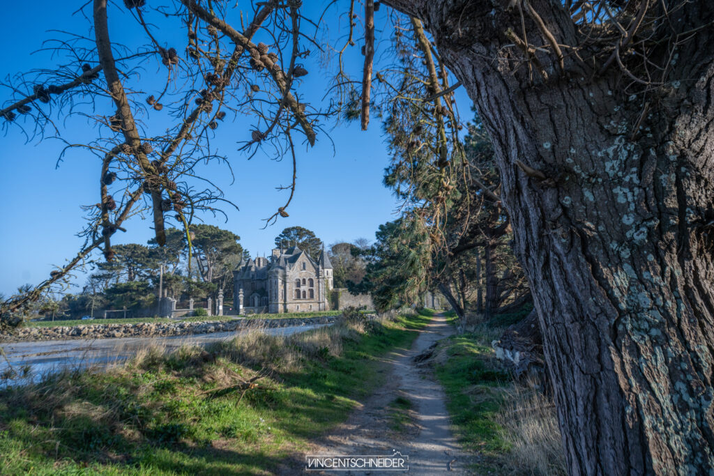 arbre manoir arrivee roscoff hiver finistere nord gr34 randonnee ocean atlatique 677