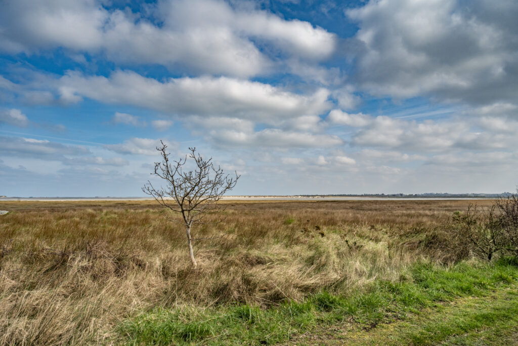 baie de goulven hiver finistere nord gr34 randonnee ocean